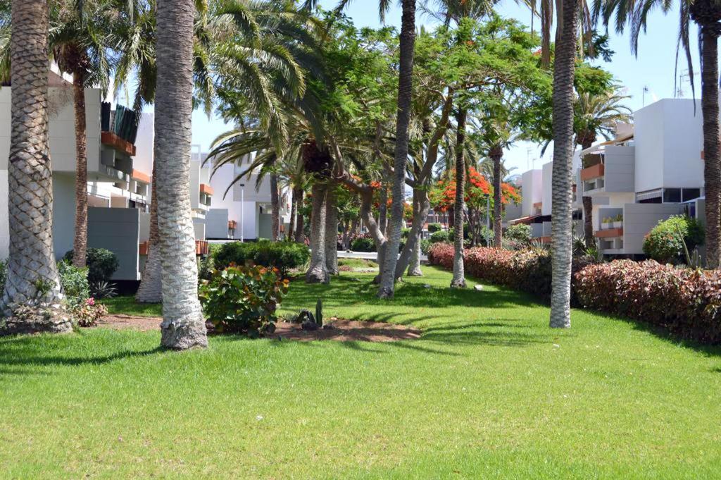 Azulete Apartment อาโรนา ภายนอก รูปภาพ